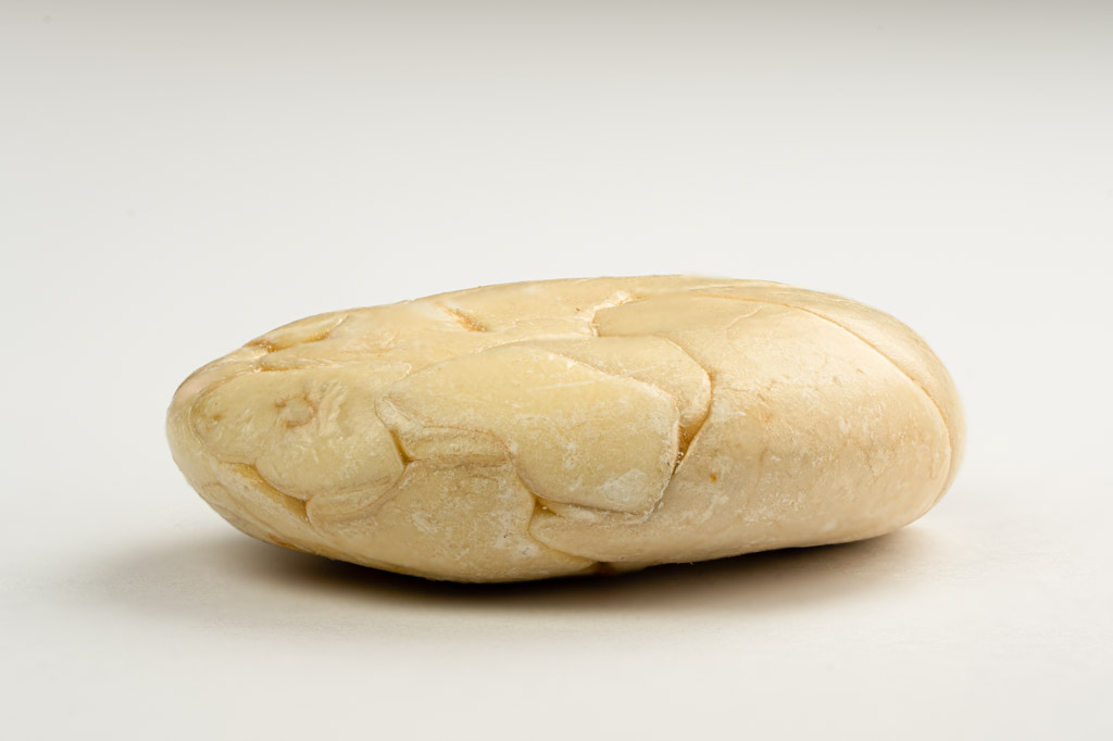 Boby Pataste loupane detail-2